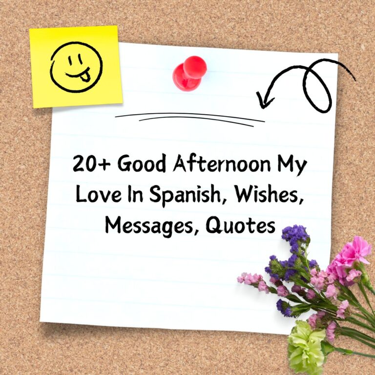 20+ Good Afternoon My Love In Spanish, Wishes, Messages, Quotes