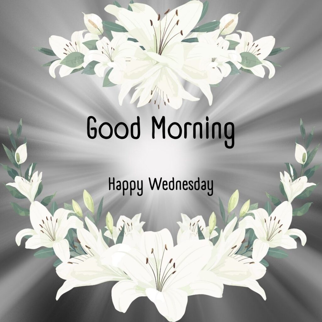 200+ Good Morning Happy Wednesday Images