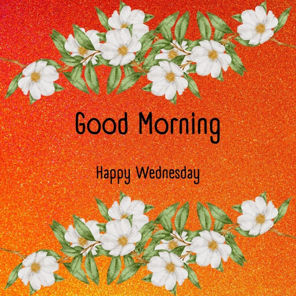 200+ Good Morning Happy Wednesday Images