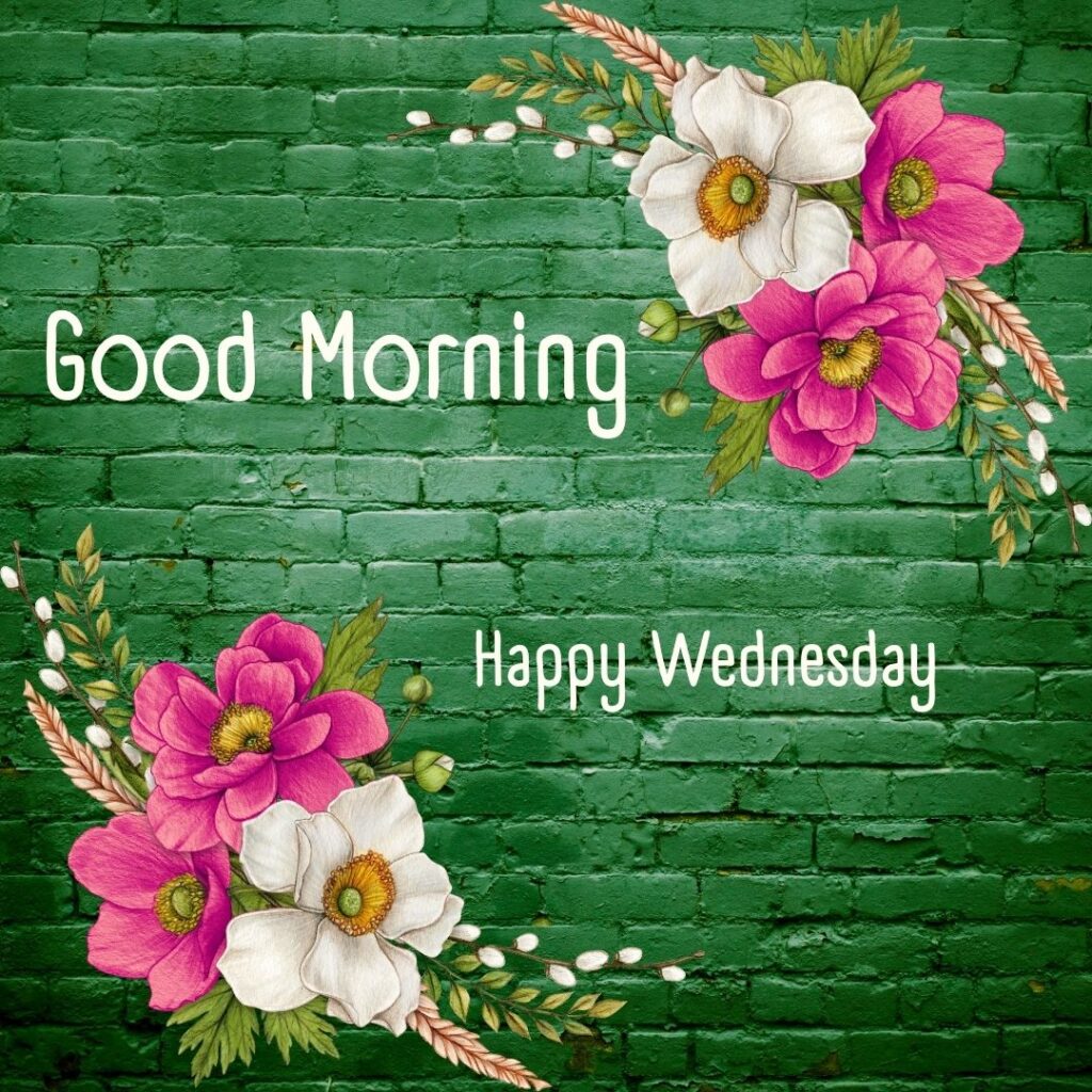 200+ Good Morning Happy Wednesday Images