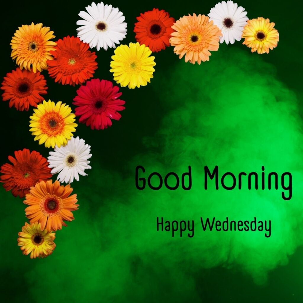 200+ Good Morning Happy Wednesday Images