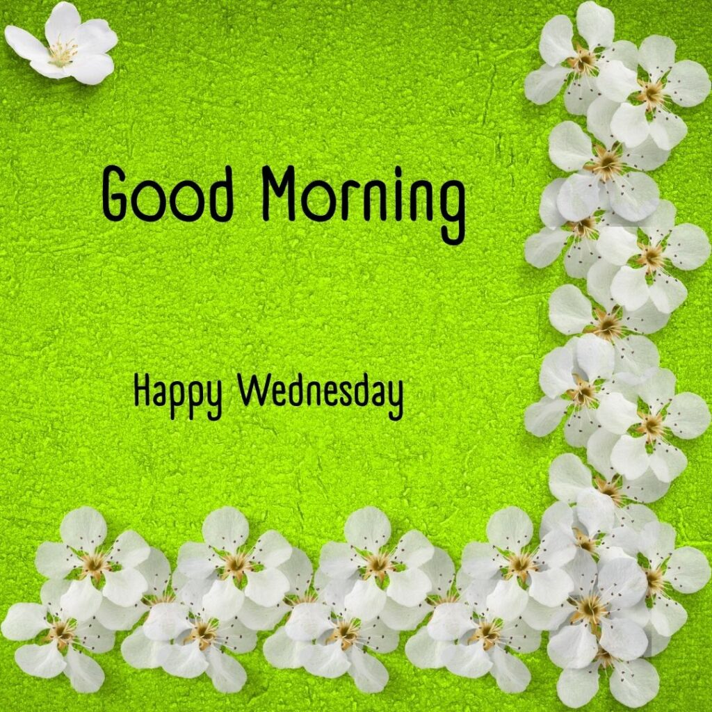 200+ Good Morning Happy Wednesday Images