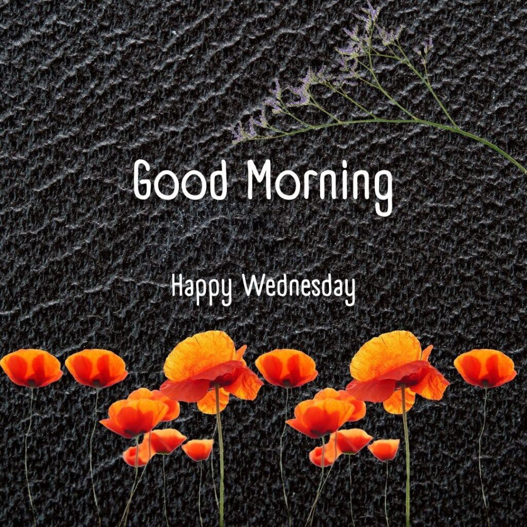 200+ Good Morning Happy Wednesday Images