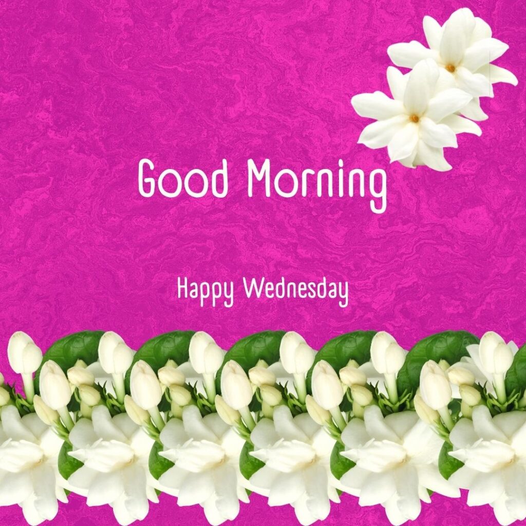 200+ Good Morning Happy Wednesday Images