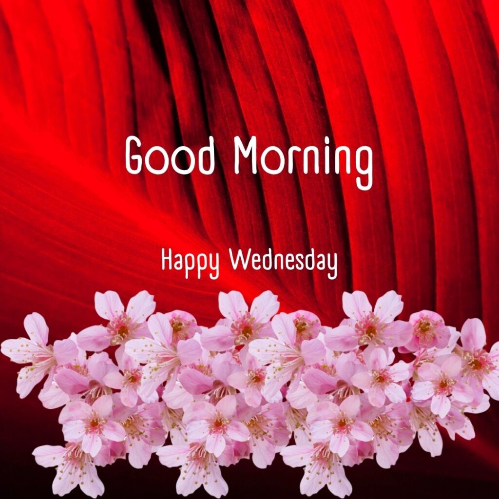 200+ Good Morning Happy Wednesday Images