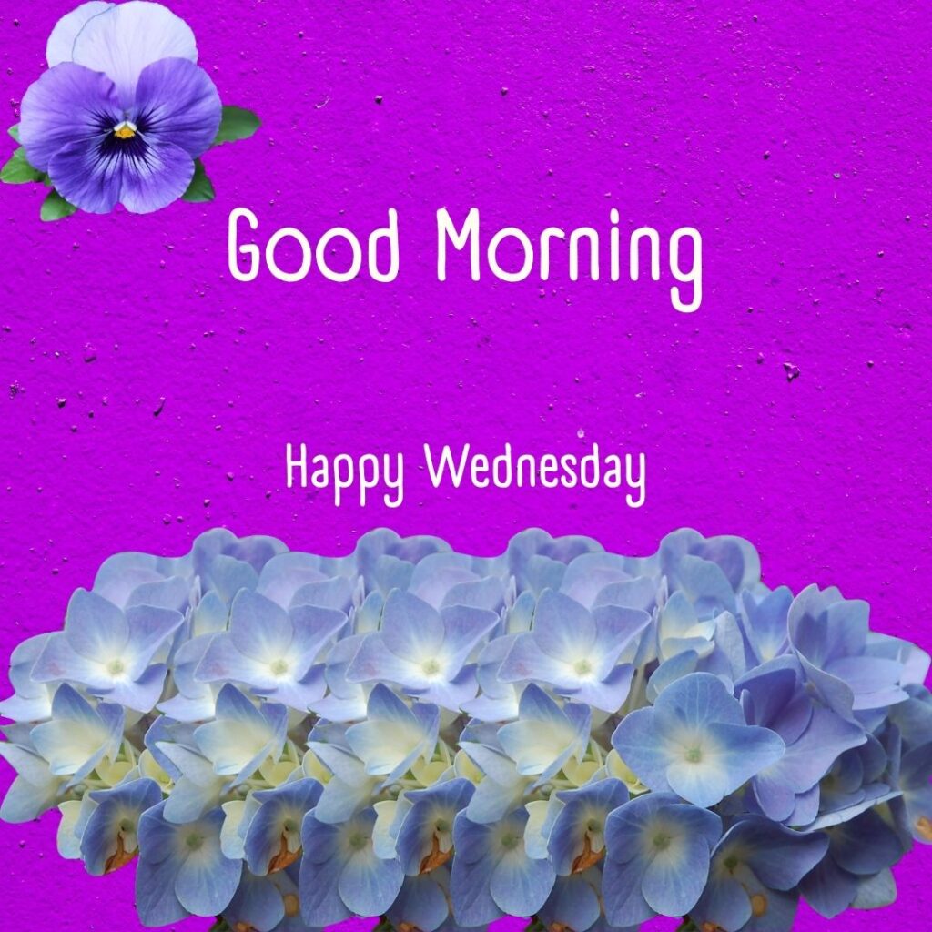 200+ Good Morning Happy Wednesday Images