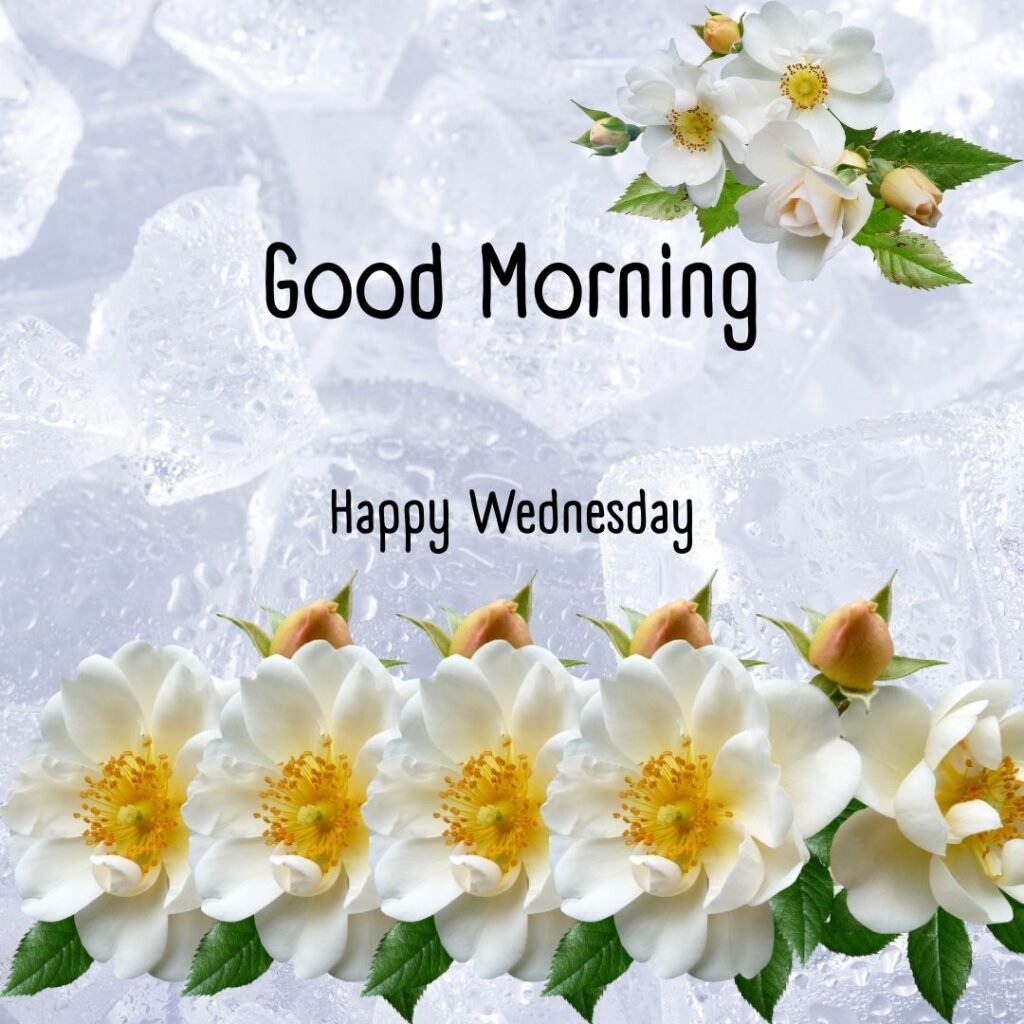 200+ Good Morning Happy Wednesday Images