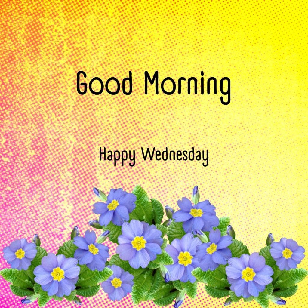 200+ Good Morning Happy Wednesday Images