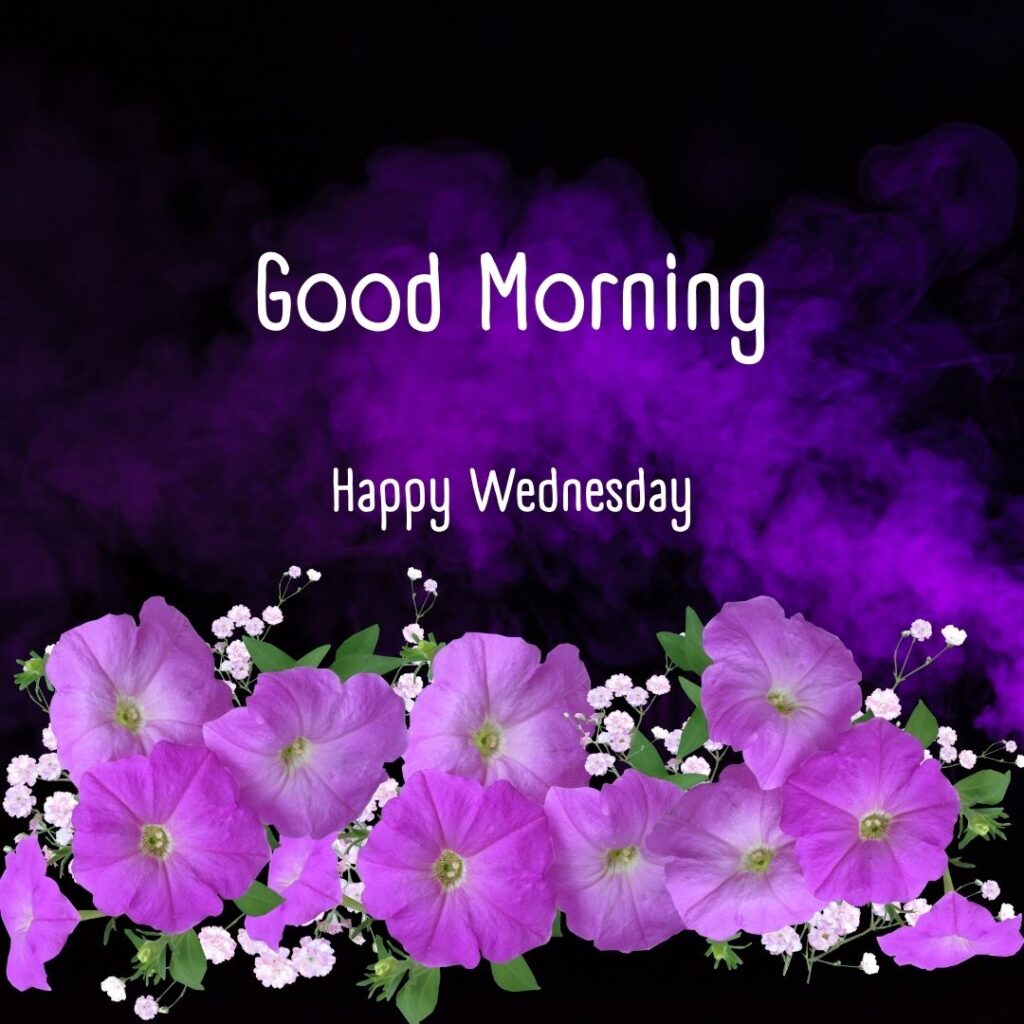 200+ Good Morning Happy Wednesday Images