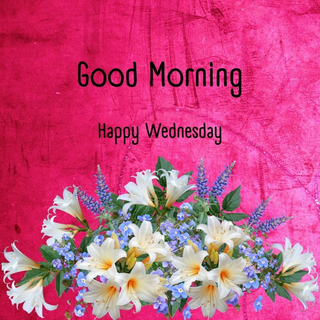 200+ Good Morning Happy Wednesday Images