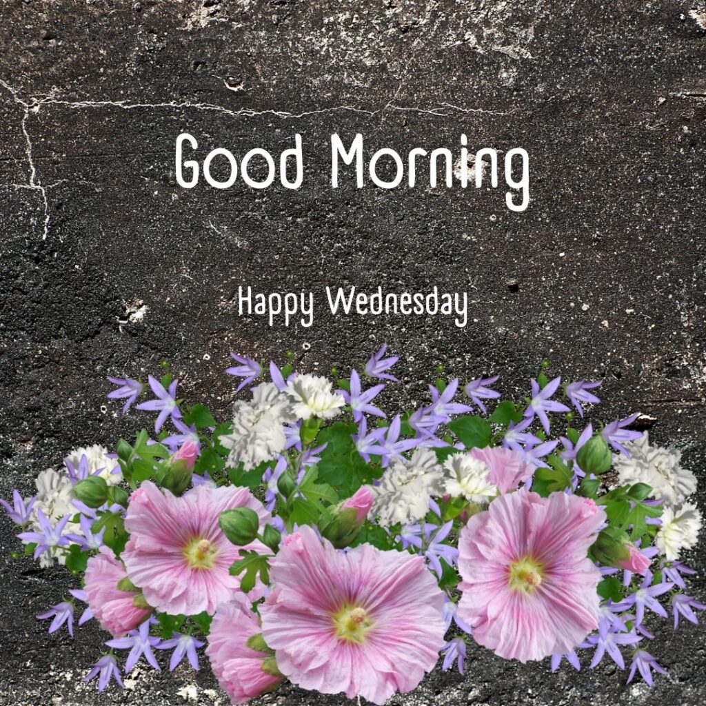 200+ Good Morning Happy Wednesday Images