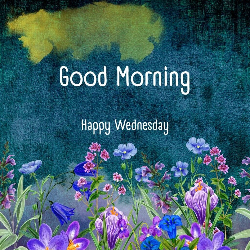 200+ Good Morning Happy Wednesday Images