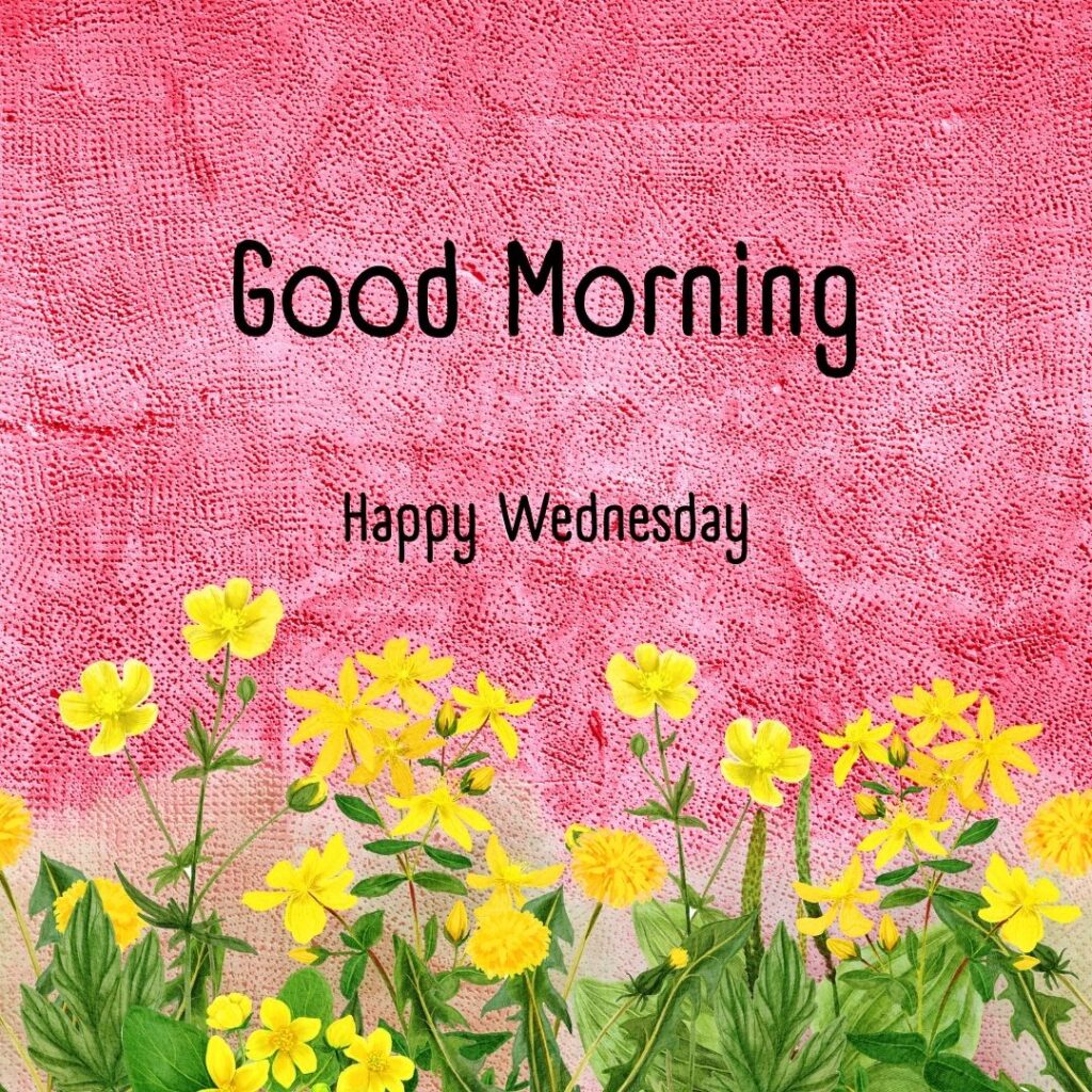 200+ Good Morning Happy Wednesday Images