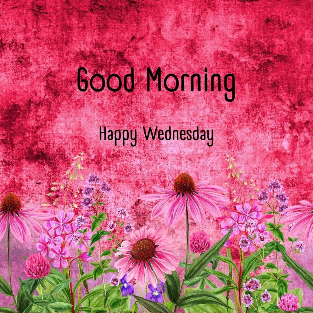 200+ Good Morning Happy Wednesday Images