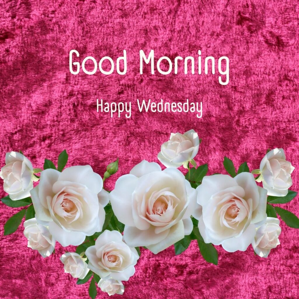 200+ Good Morning Happy Wednesday Images