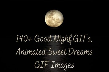 140+ Good Night GIFs, ‎Animated Sweet Dreams GIF Images