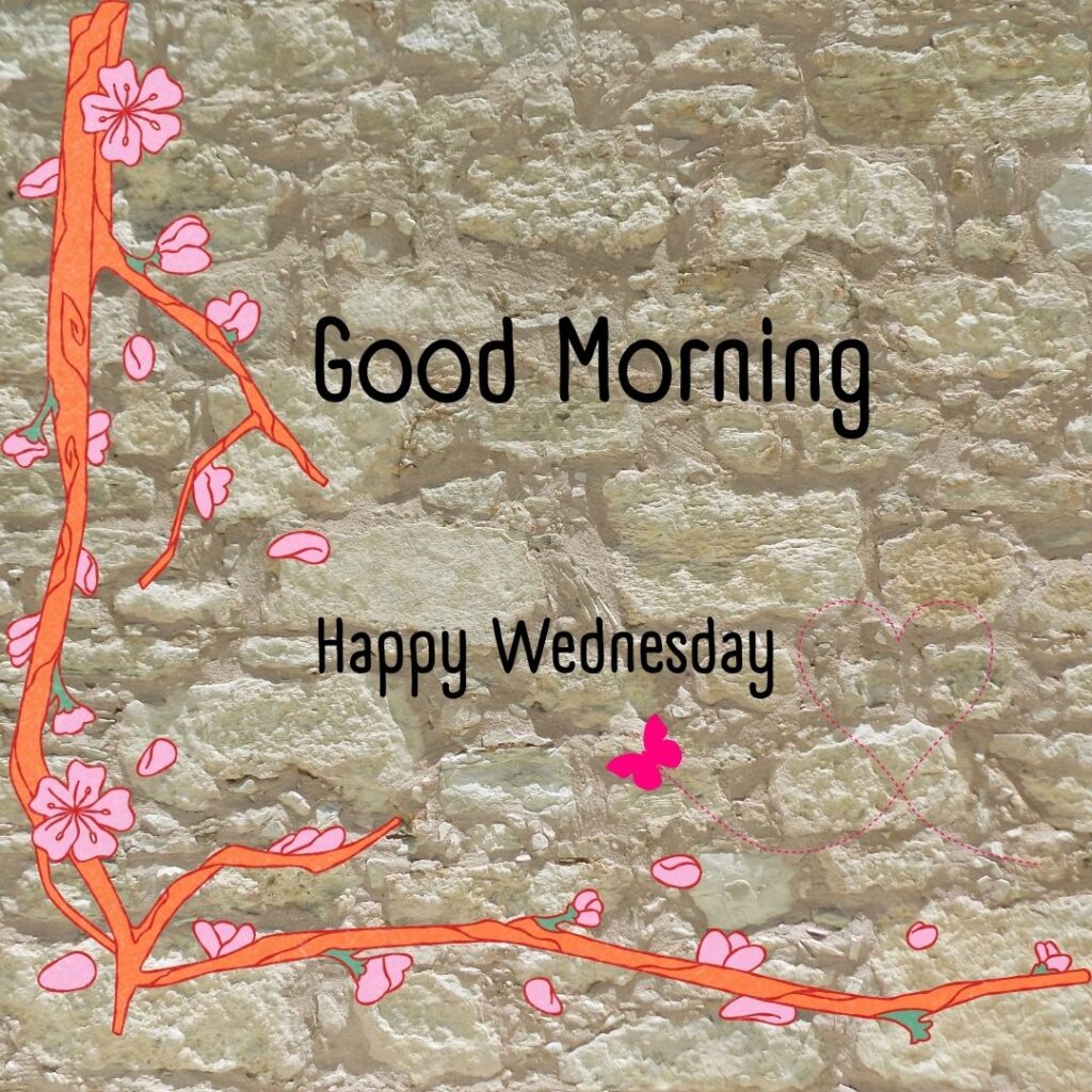 200+ Good Morning Happy Wednesday Images