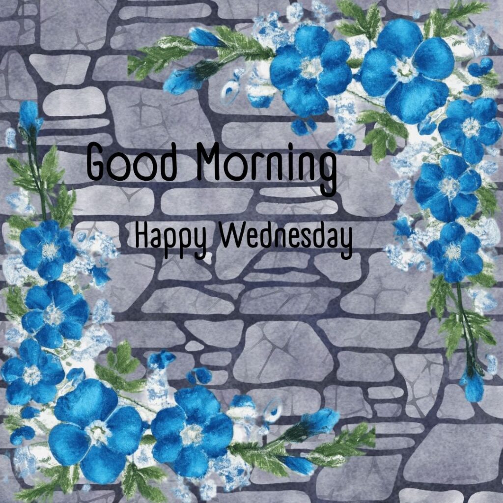 200+ Good Morning Happy Wednesday Images