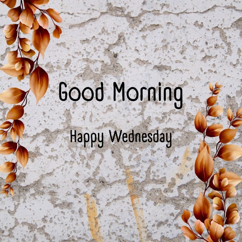 200+ Good Morning Happy Wednesday Images