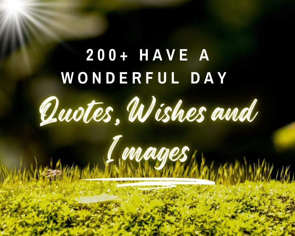 200+ Have a Wonderful Day