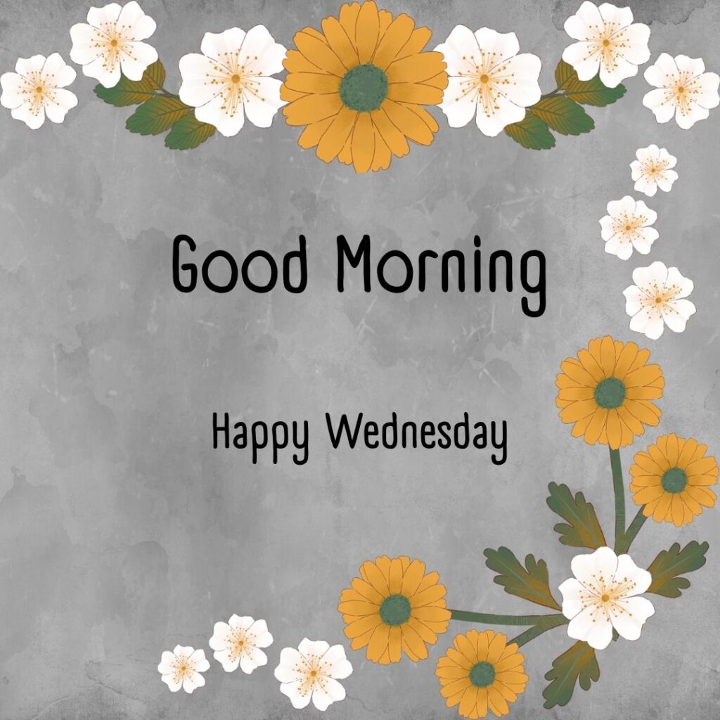 200+ Good Morning Happy Wednesday Images