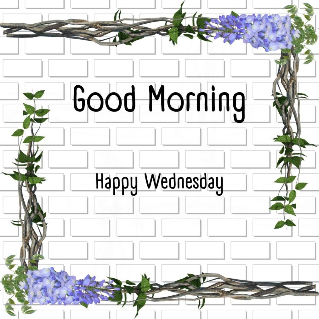 200+ Good Morning Happy Wednesday Images