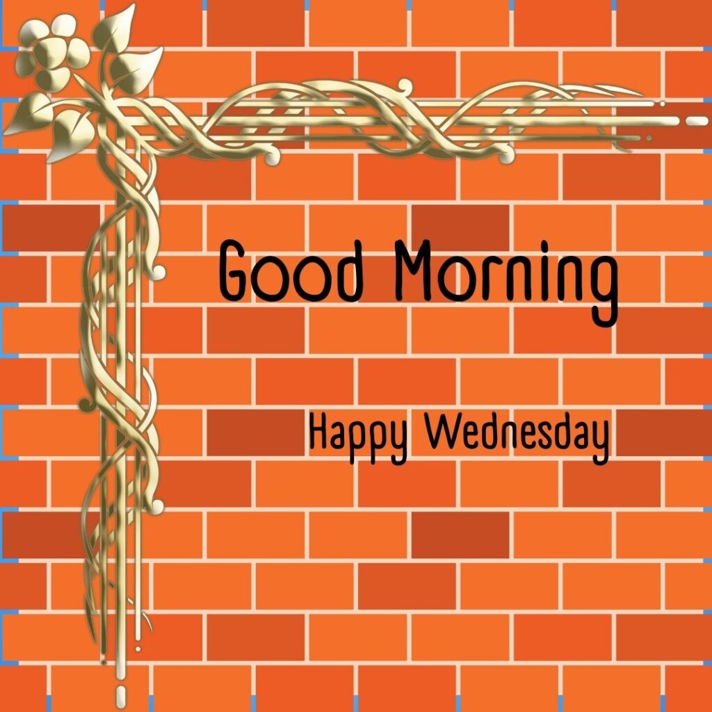 200+ Good Morning Happy Wednesday Images