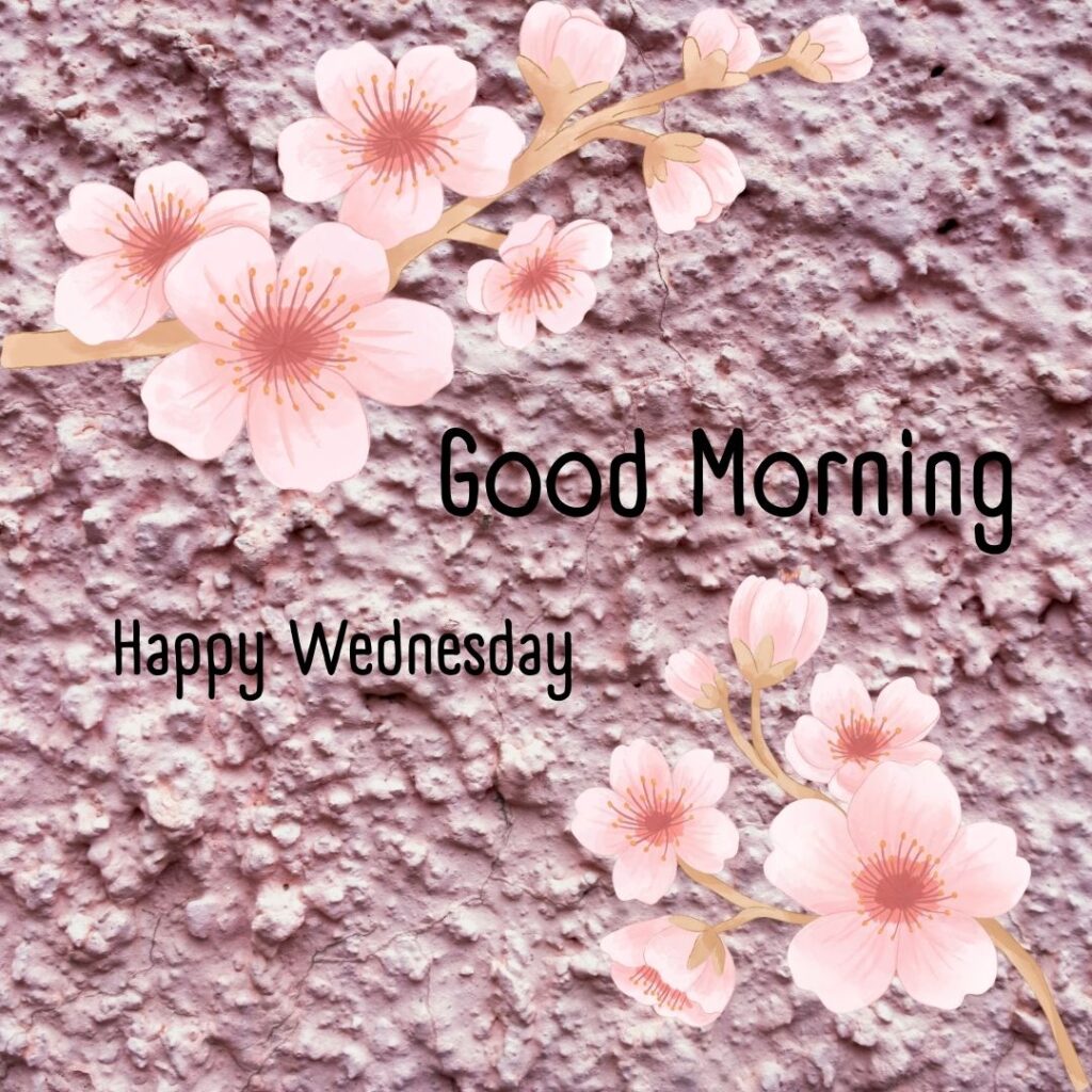 200+ Good Morning Happy Wednesday Images