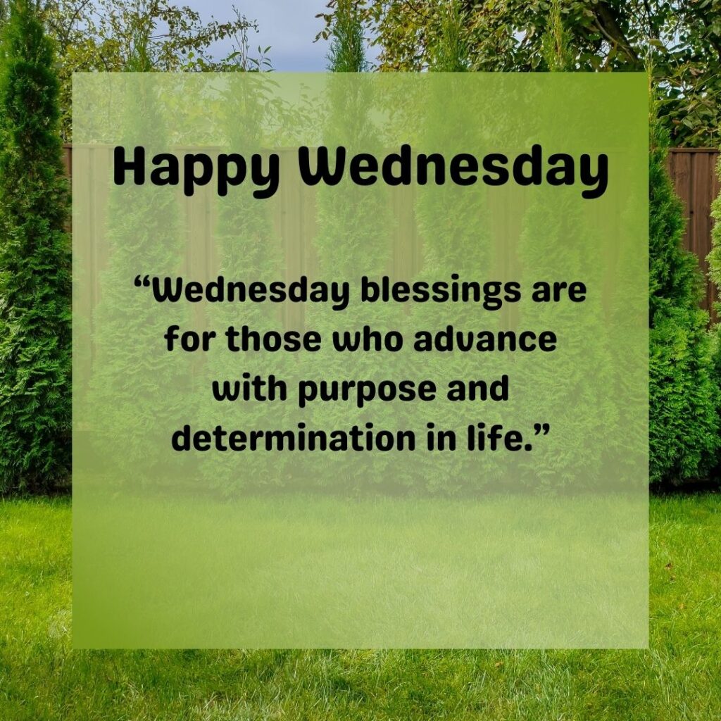 200+ Good Morning Wednesday blessings