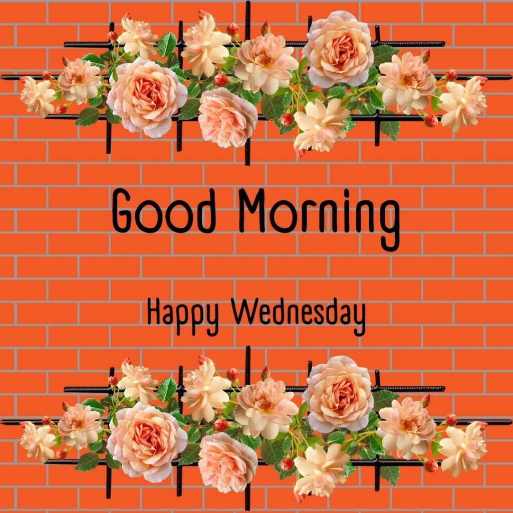 200+ Good Morning Happy Wednesday Images