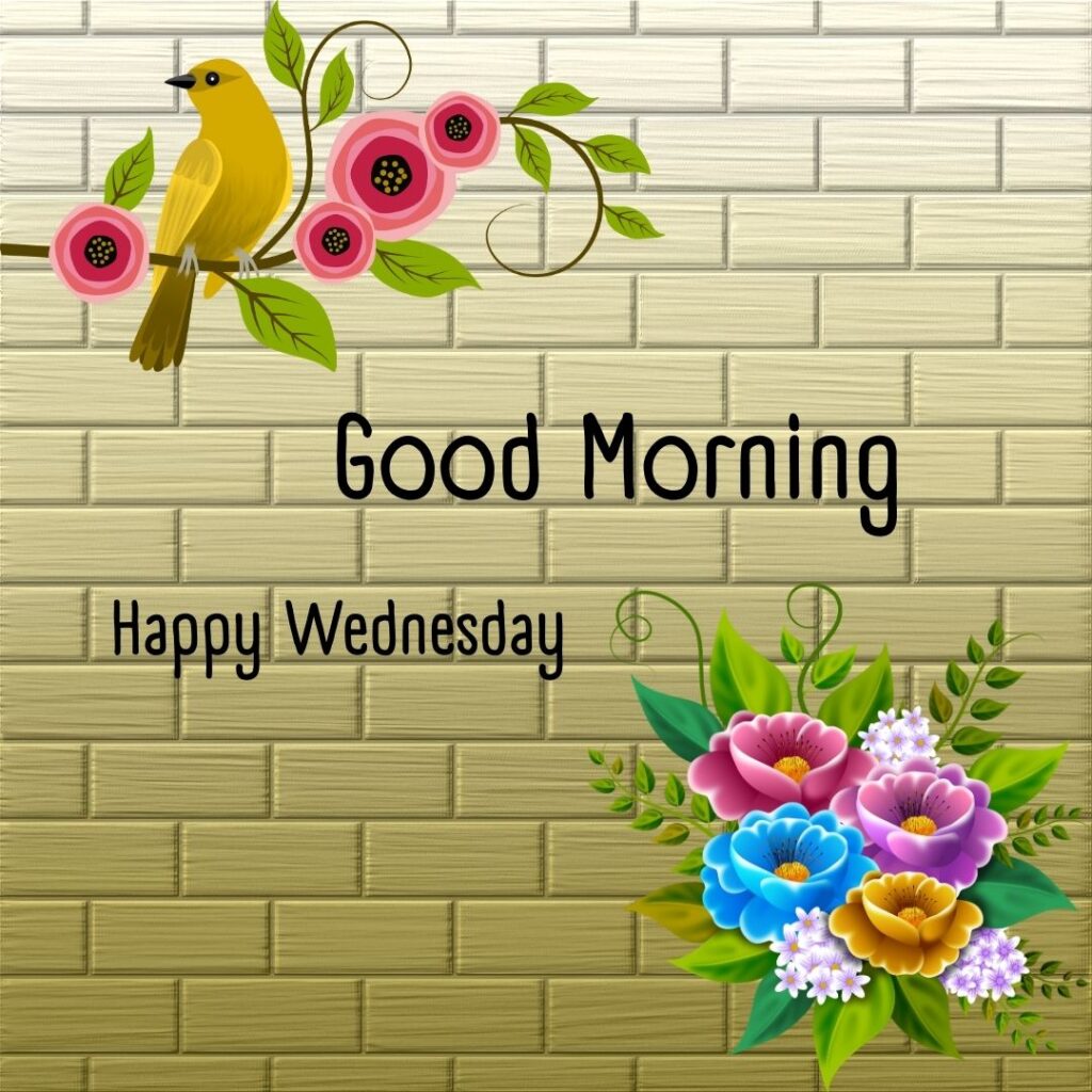 200+ Good Morning Happy Wednesday Images