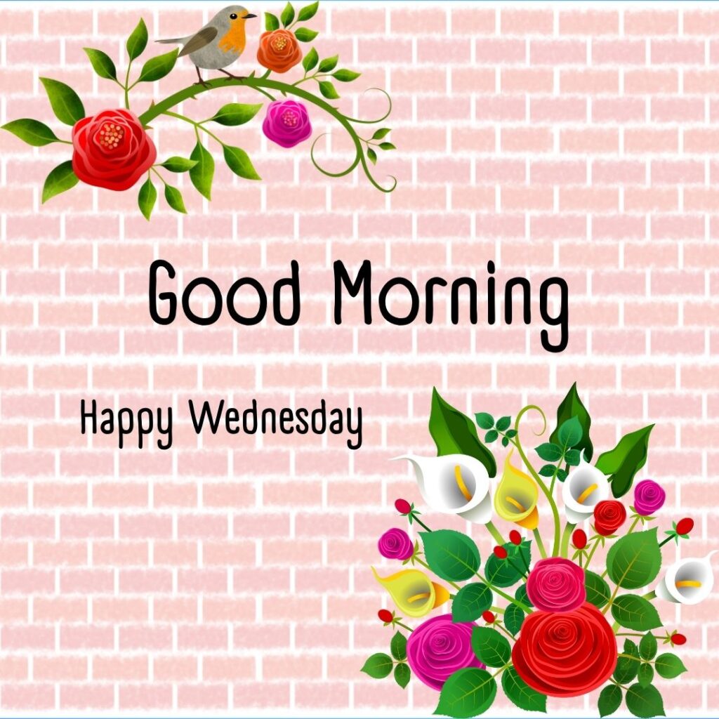 200+ Good Morning Happy Wednesday Images