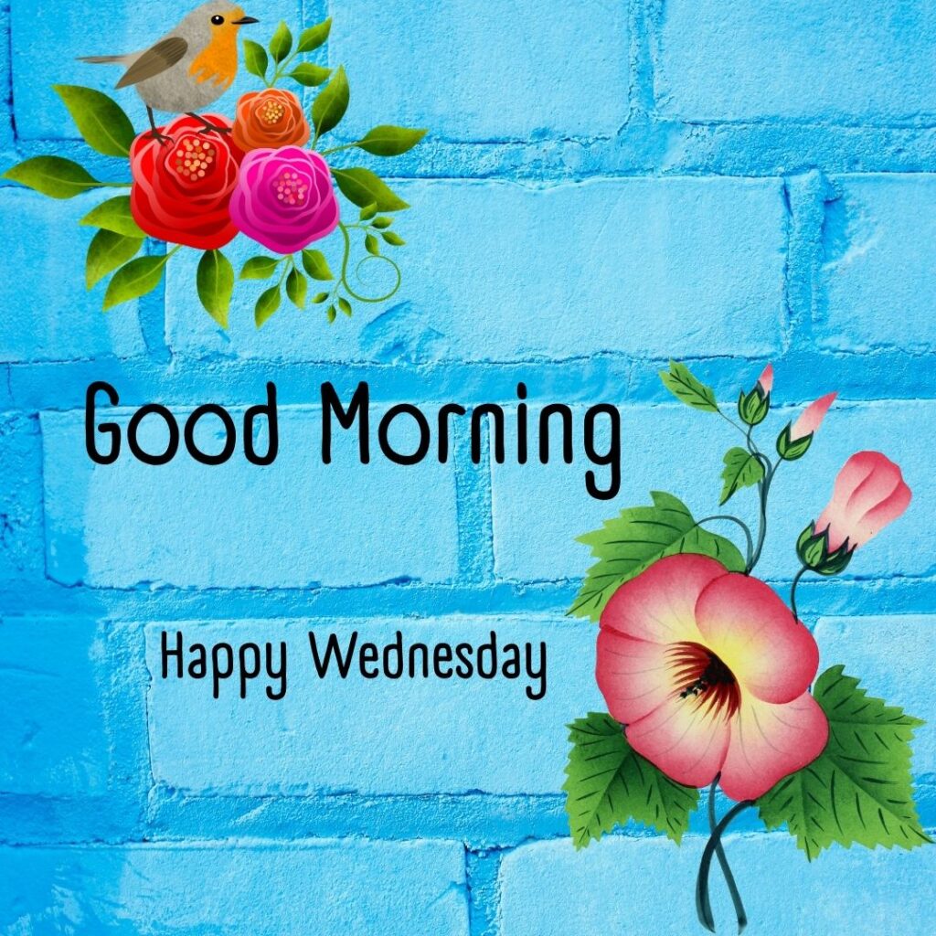 200+ Good Morning Happy Wednesday Images