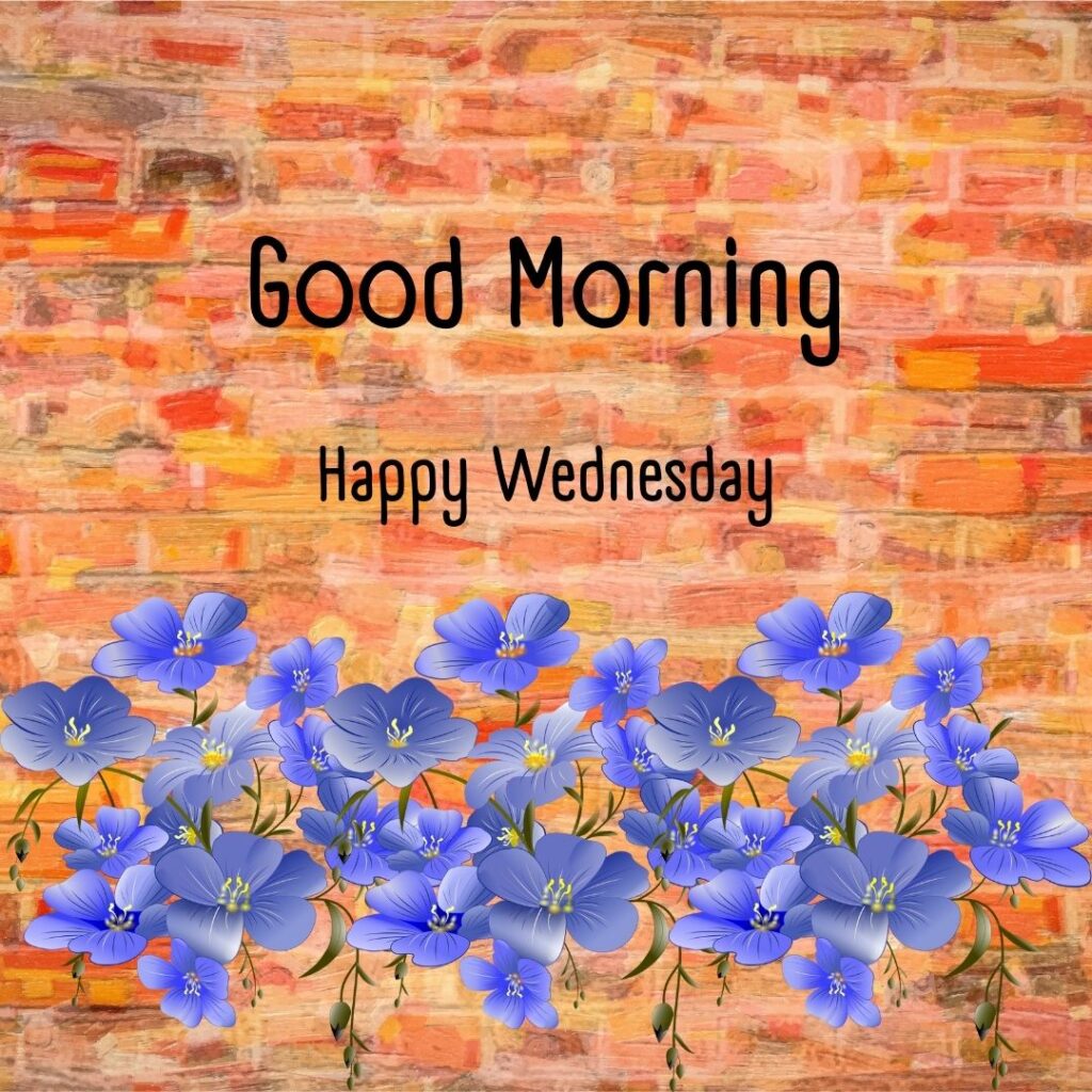 200+ Good Morning Happy Wednesday Images