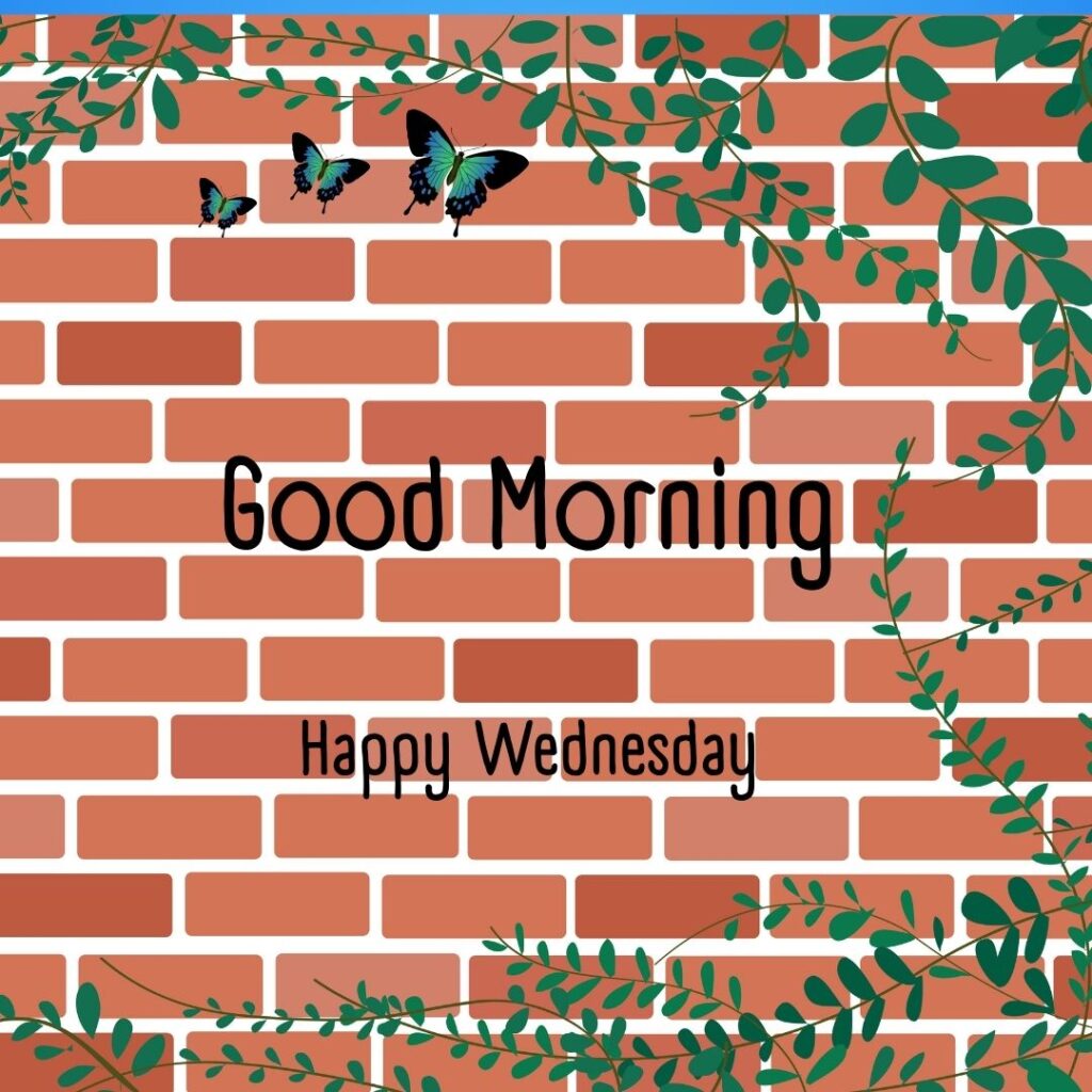 200+ Good Morning Happy Wednesday Images