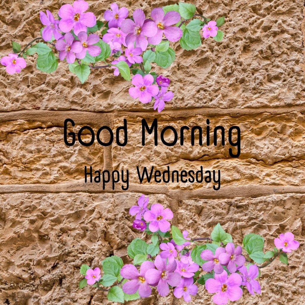 200+ Good Morning Happy Wednesday Images