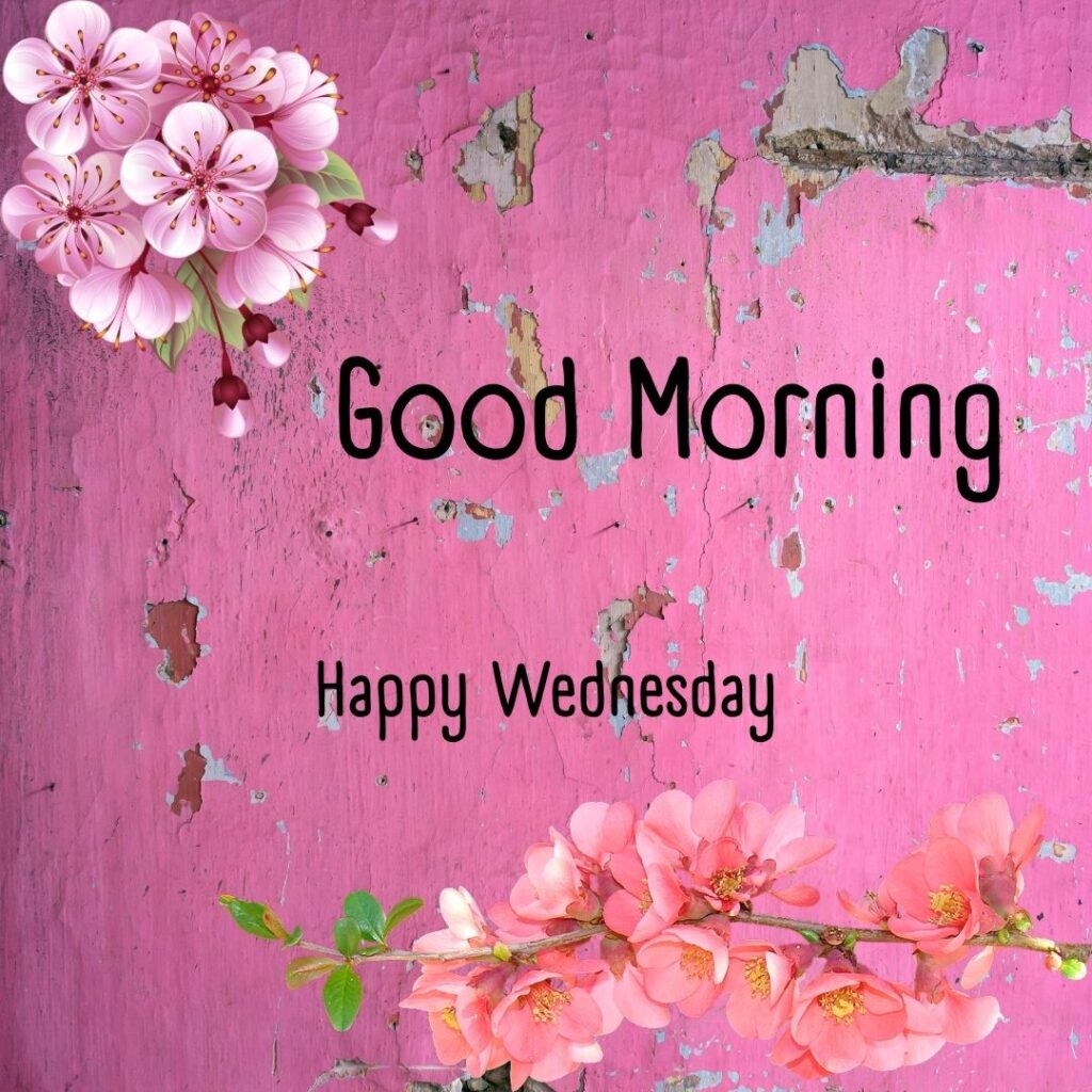 200+ Good Morning Happy Wednesday Images