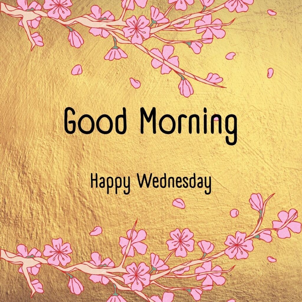 200+ Good Morning Happy Wednesday Images