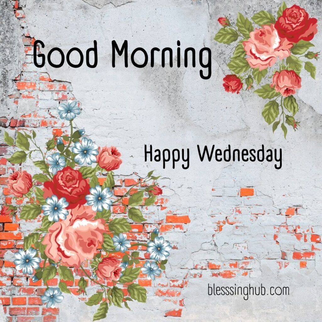 200+ Good Morning Happy Wednesday Images