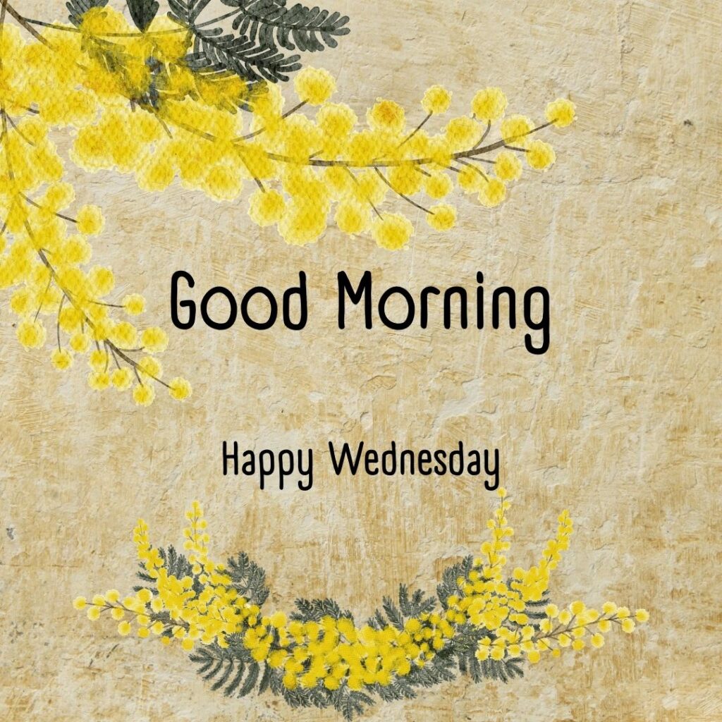 200+ Good Morning Happy Wednesday Images