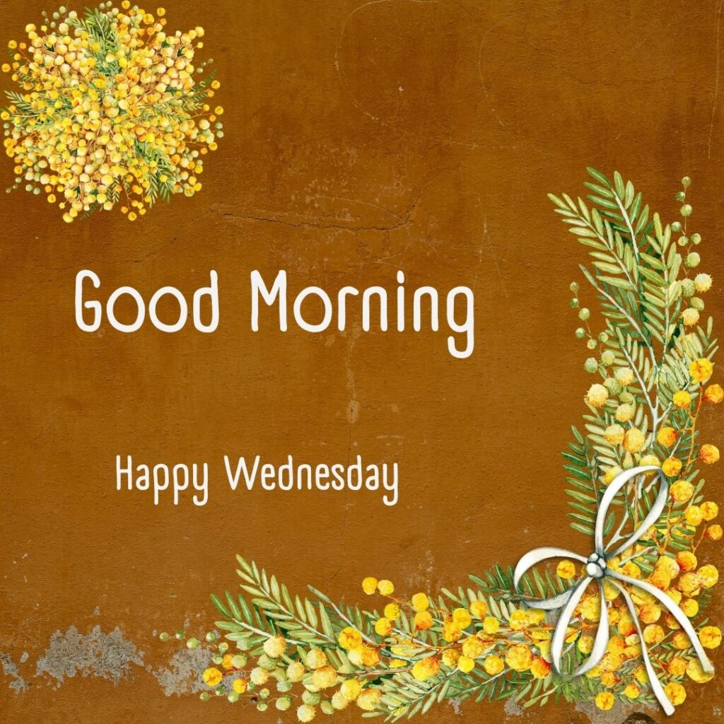 200+ Good Morning Happy Wednesday Images