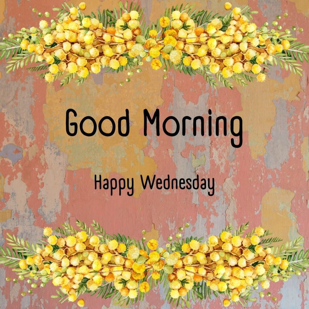 200+ Good Morning Happy Wednesday Images