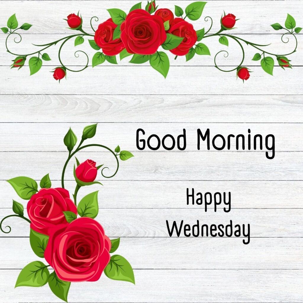 200+ Good Morning Happy Wednesday Images