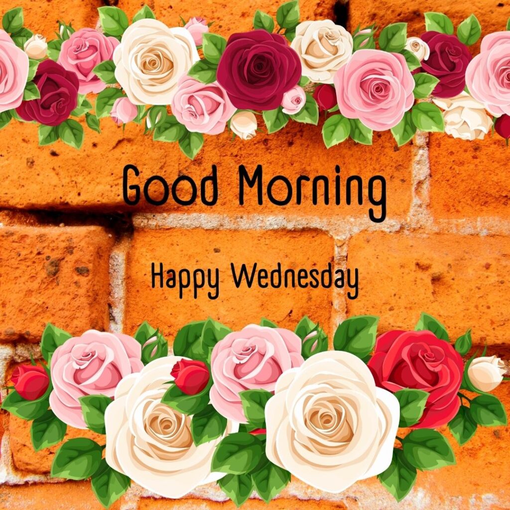 200+ Good Morning Happy Wednesday Images