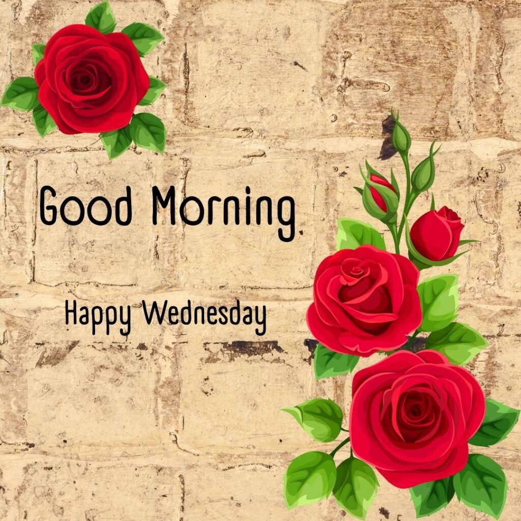 200+ Good Morning Happy Wednesday Images