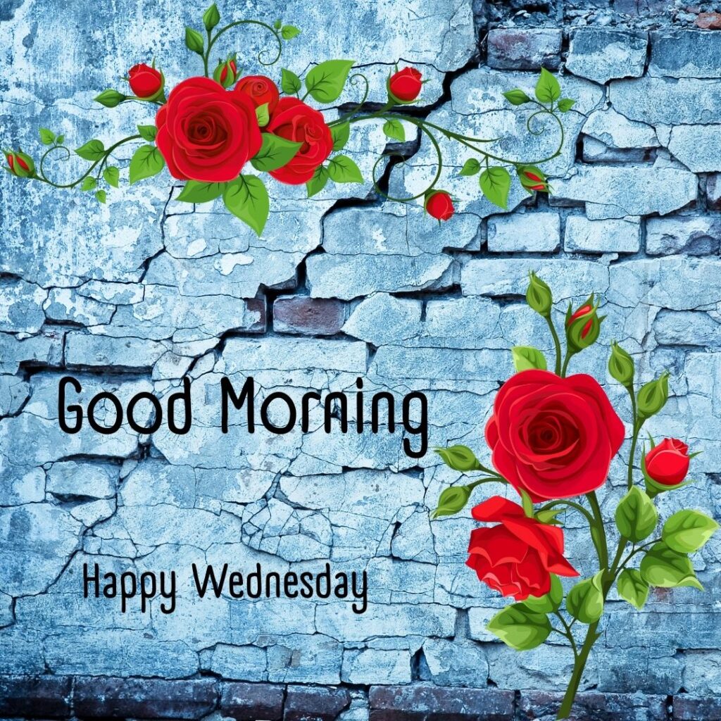 200+ Good Morning Happy Wednesday Images