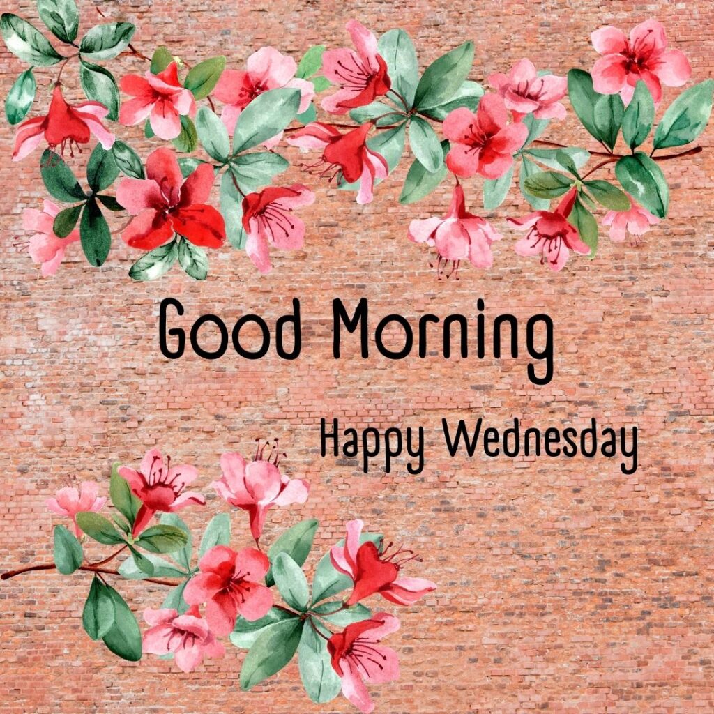 200+ Good Morning Happy Wednesday Images