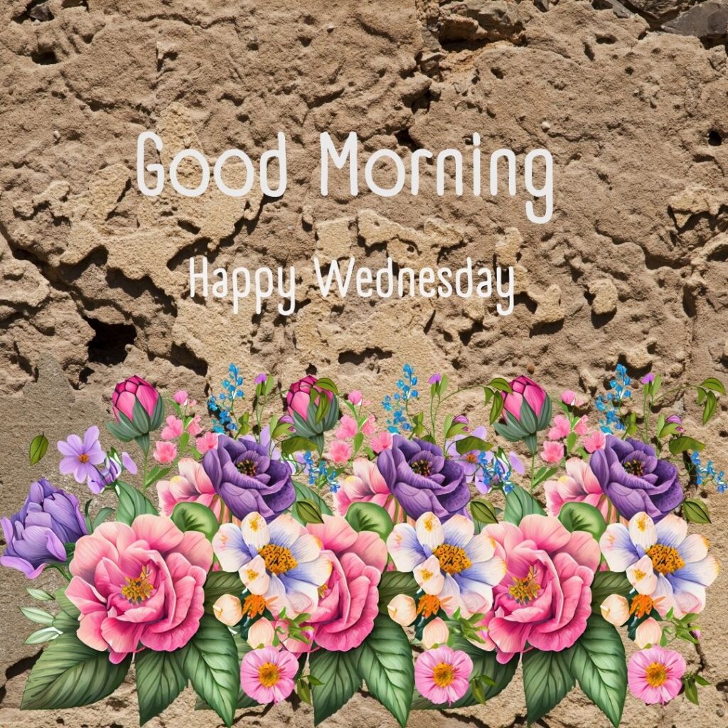 200+ Good Morning Happy Wednesday Images