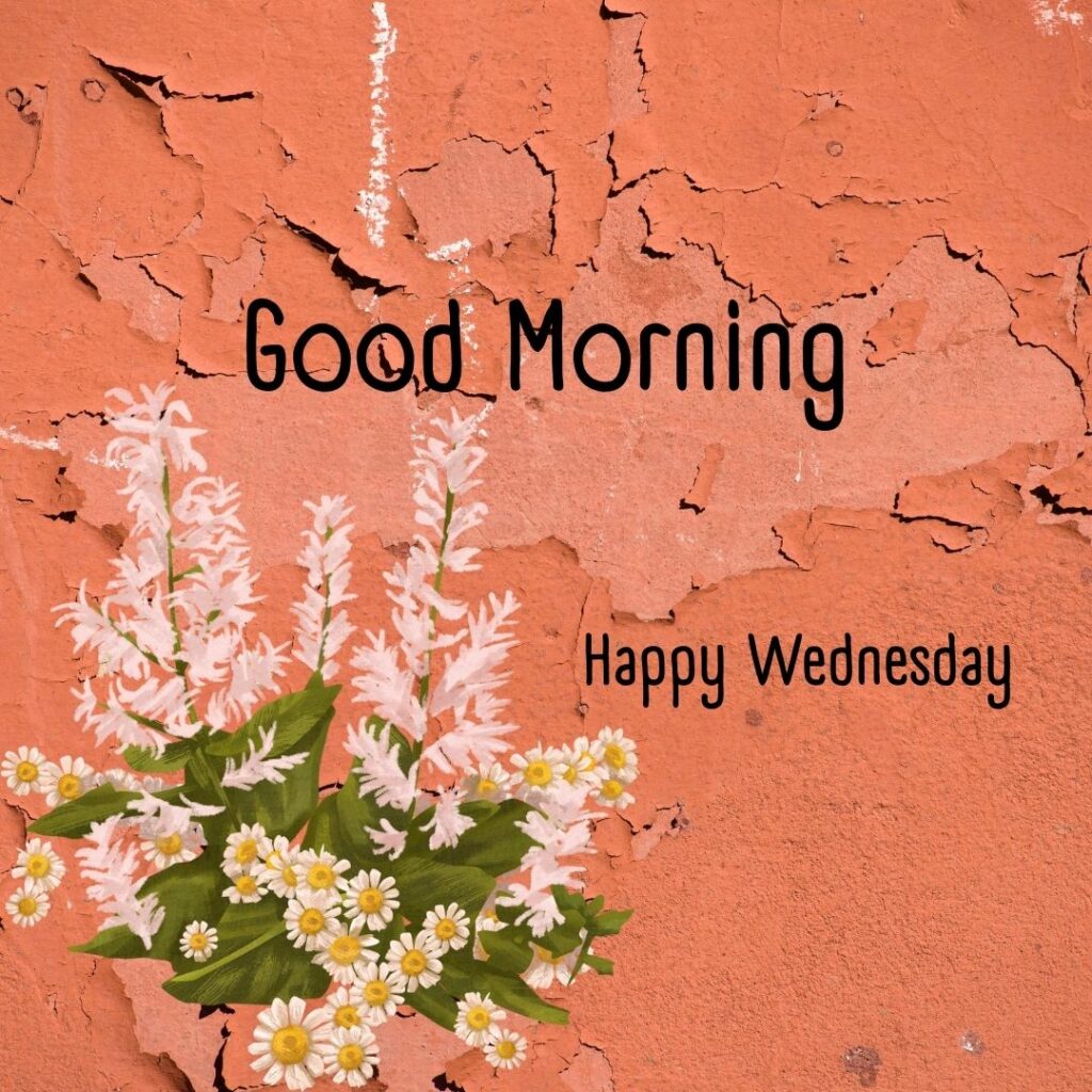 200+ Good Morning Happy Wednesday Images