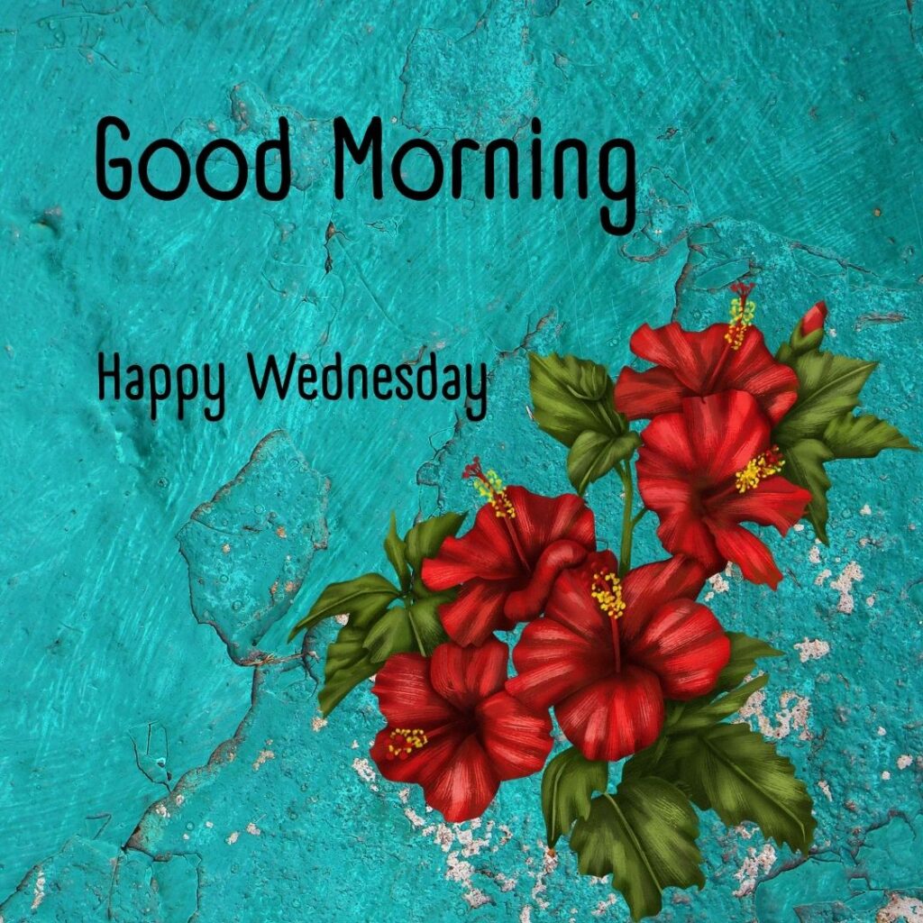 200+ Good Morning Happy Wednesday Images